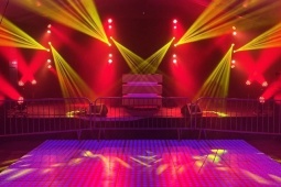 XL Disco-Show